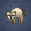 Scared Cat #5540