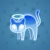 Scared Cat #5545