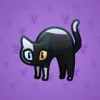 Scared Cat #5549