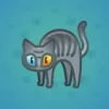 Scared Cat #5574