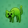 Scared Cat #5617