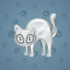 Scared Cat #5623