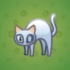 Scared Cat #5653