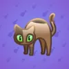Scared Cat #569