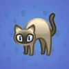 Scared Cat #5748