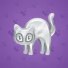 Scared Cat #5818