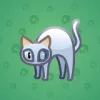 Scared Cat #5823