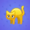 Scared Cat #5856