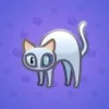 Scared Cat #5936