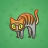 Scared Cat #5964