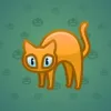 Scared Cat #6214