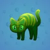 Scared Cat #6219