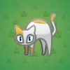 Scared Cat #6379