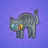 Scared Cat #6453