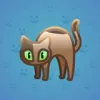 Scared Cat #6581
