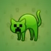 Scared Cat #6598