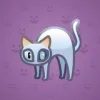 Scared Cat #6789