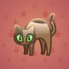 Scared Cat #6947