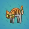 Scared Cat #6979