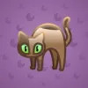 Scared Cat #722