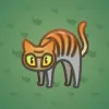 Scared Cat #7300