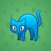 Scared Cat #7343