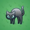 Scared Cat #7478