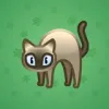 Scared Cat #7548