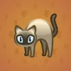 Scared Cat #772