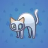 Scared Cat #7935