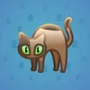Scared Cat #7953