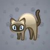 Scared Cat #7957