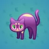 Scared Cat #8055