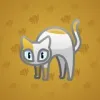 Scared Cat #8384
