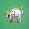 Scared Cat #8390