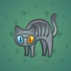 Scared Cat #8395