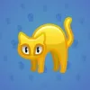 Scared Cat #8447