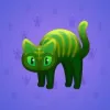 Scared Cat #8497