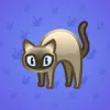 Scared Cat #8522