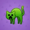 Scared Cat #8644