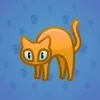 Scared Cat #8651