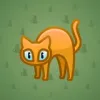 Scared Cat #8684