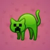 Scared Cat #8824