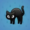 Scared Cat #8843