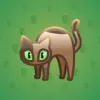 Scared Cat #8905