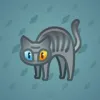 Scared Cat #8952