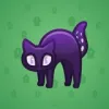Scared Cat #8969