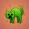 Scared Cat #8970