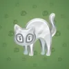 Scared Cat #9062
