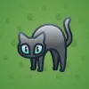 Scared Cat #9070